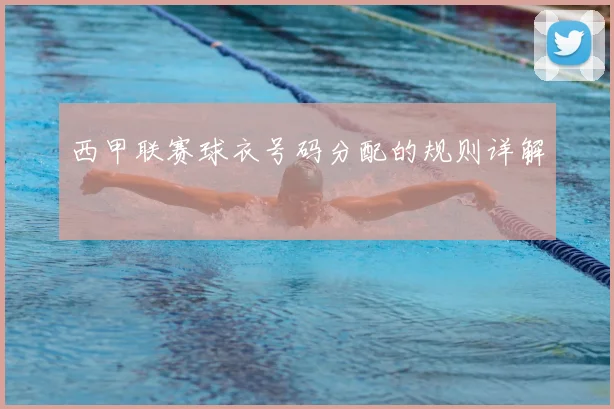 西甲联赛球衣号码分配的规则详解